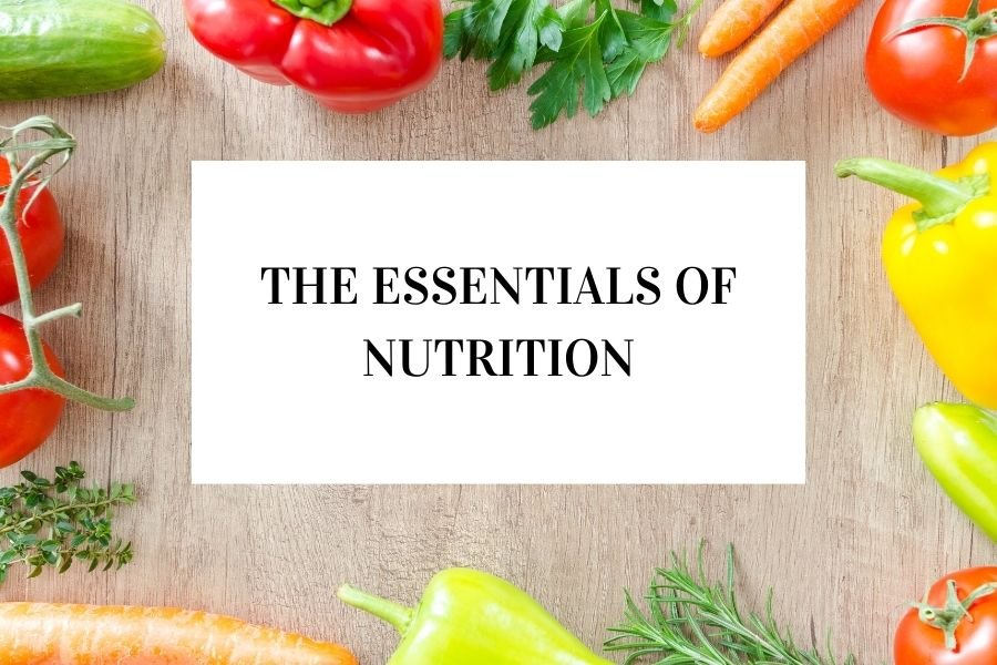 The Essentials of Nutrition: Nourish to Thrive, Not Just Survive